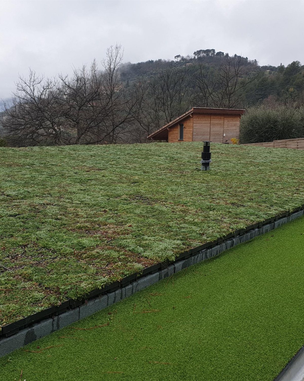 Toiture végétalisée et isolation